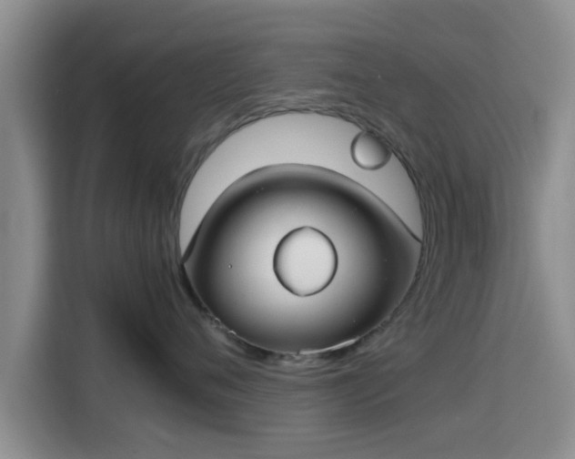 X0000115390720200911101452