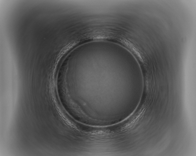 X0000115390721200911101451