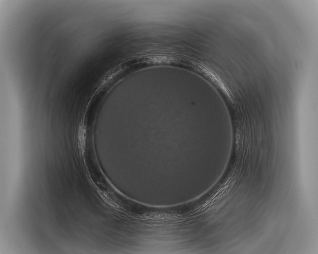 X0000115390722200911101451