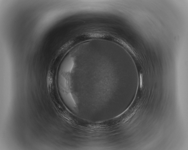 X0000115390723200911101451