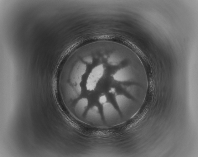X0000115390725200911101451