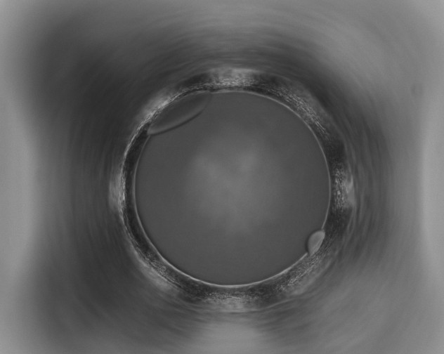 X0000115390726200911101451
