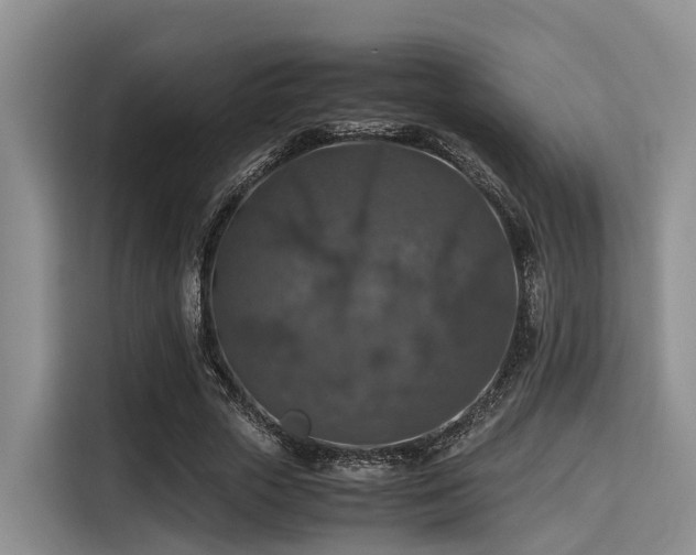 X0000115390729200911101452