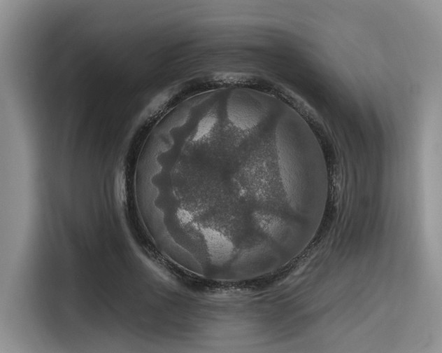 X0000115390734200911101452