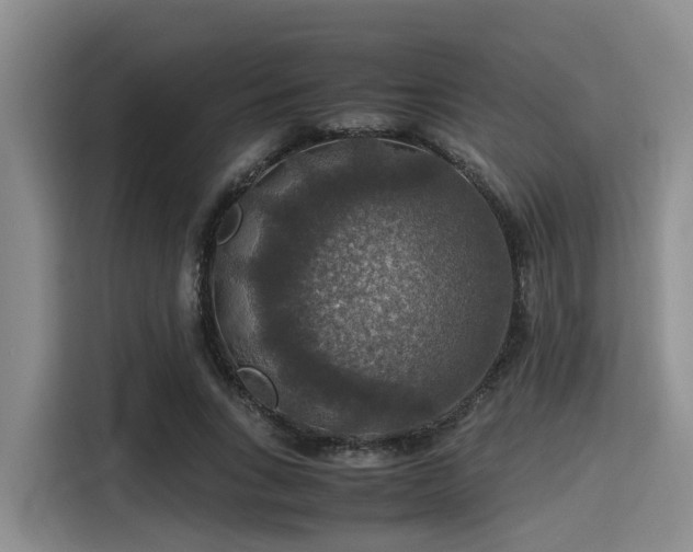 X0000115390735200911101452