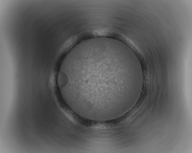 X0000115390738200911101452
