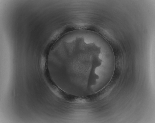 X0000115390742200911101452