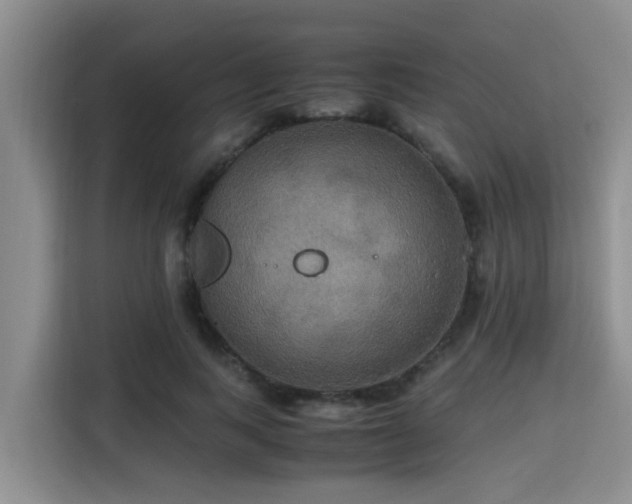 X0000115390743200911101452