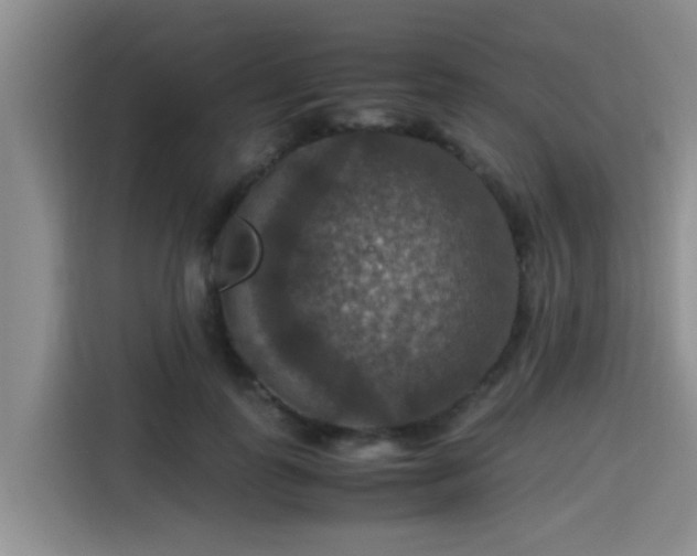 X0000115390747200911101452