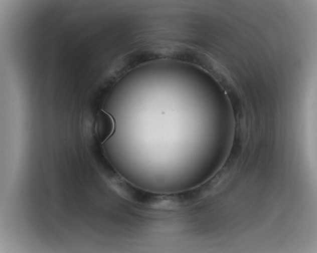 X0000115390750200911101452