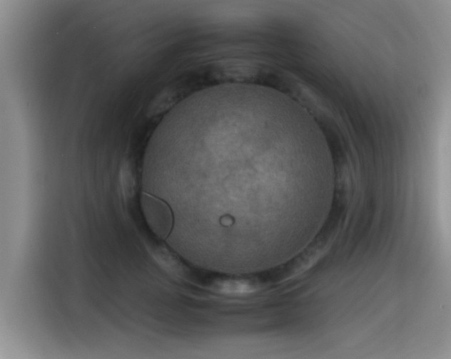 X0000115390751200911101452