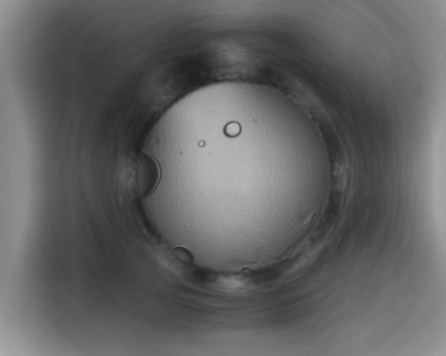 X0000115390753200911101452