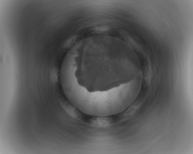 X0000115390758200911101452