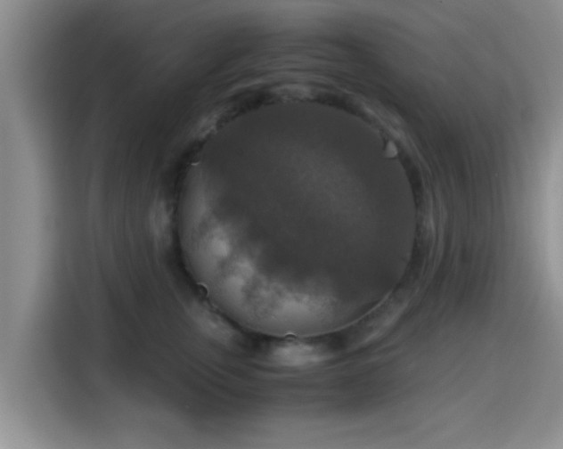 X0000115390759200911101452