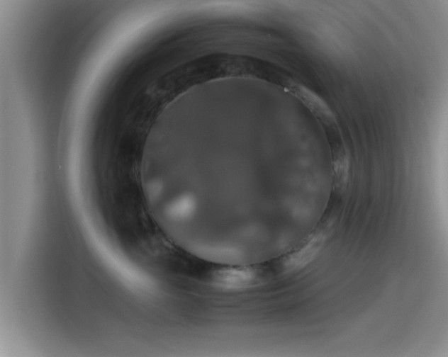 X0000115390765200911101452