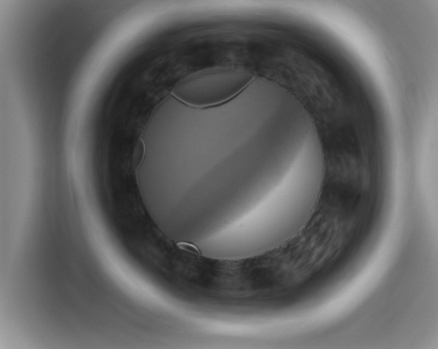 X0000115390766200911101452