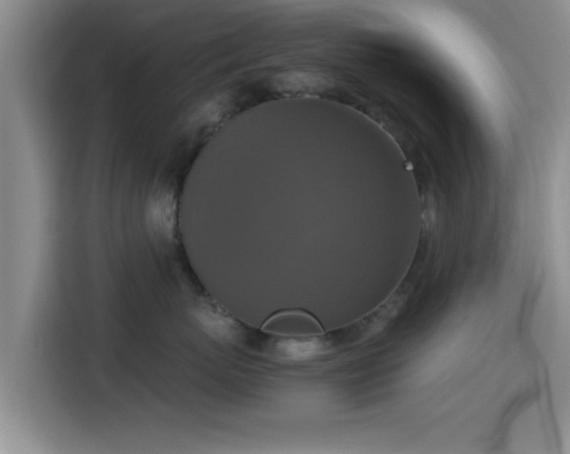 X0000115390767200911101452