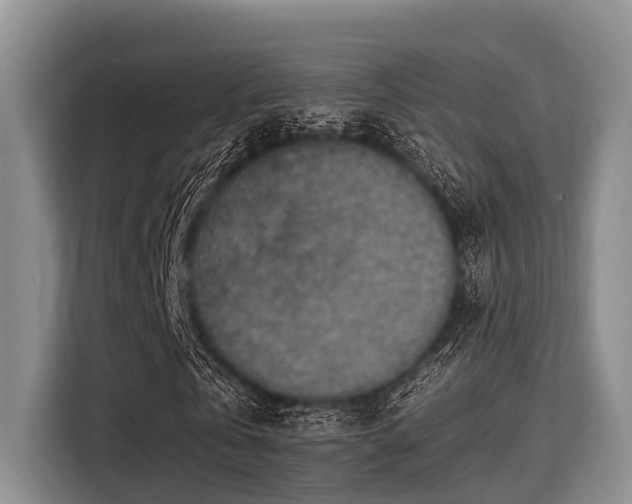 X0000115390769200911101451