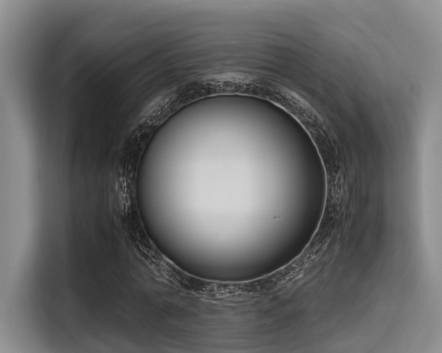 X0000115390774200911101451