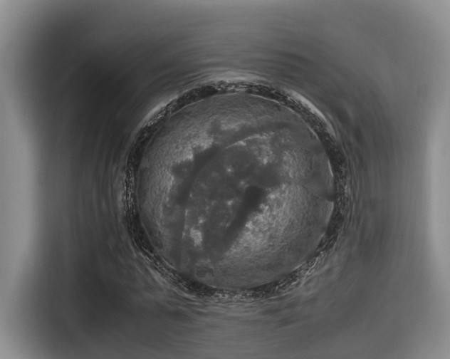 X0000115390775200911101451