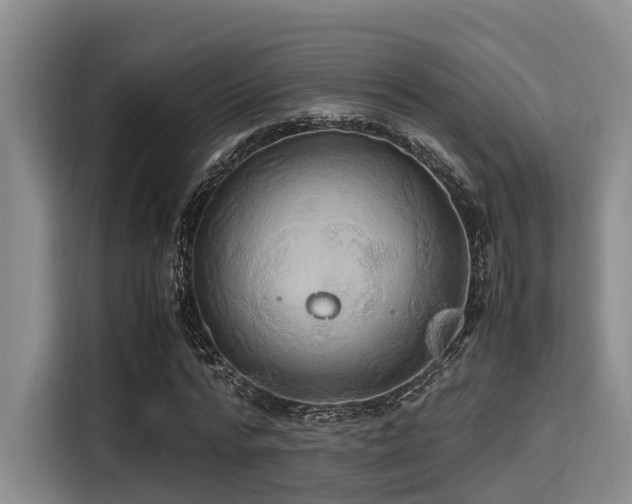 X0000115390776200911101451