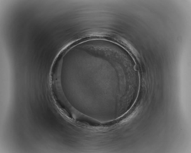 X0000115390779200911101451