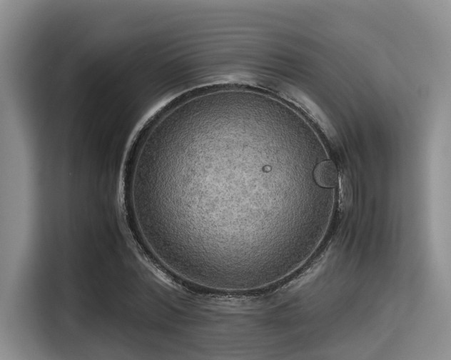 X0000115390780200911101451