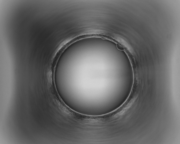 X0000115390781200911101451