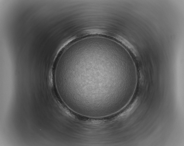 X0000115390782200911101451