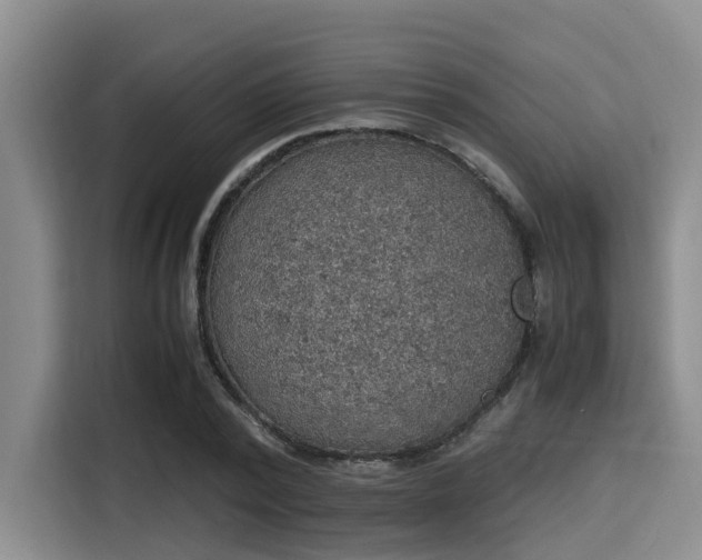 X0000115390784200911101451