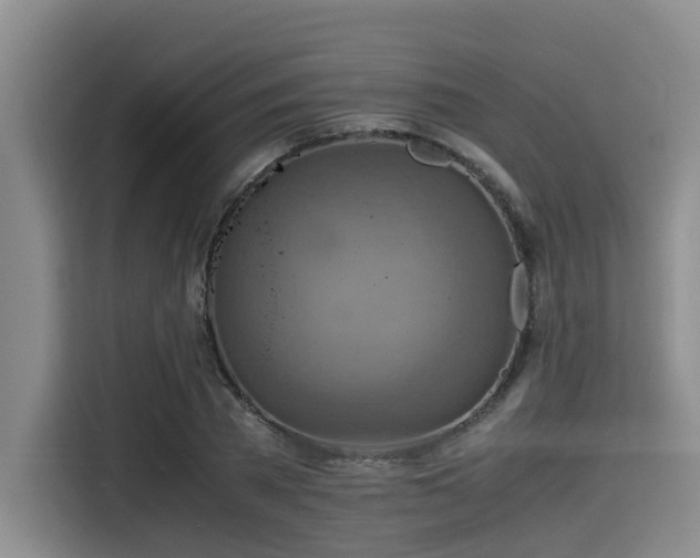 X0000115390785200911101451