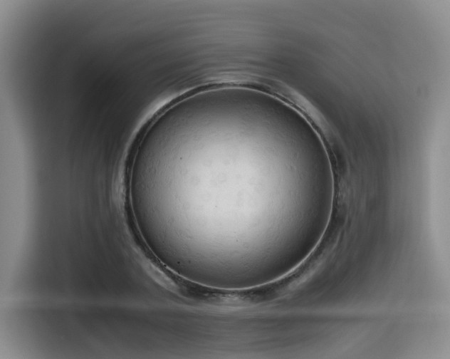 X0000115390787200911101451