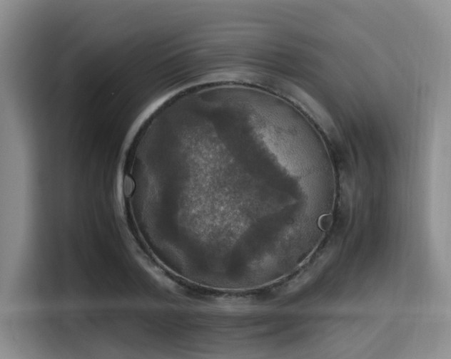 X0000115390788200911101451