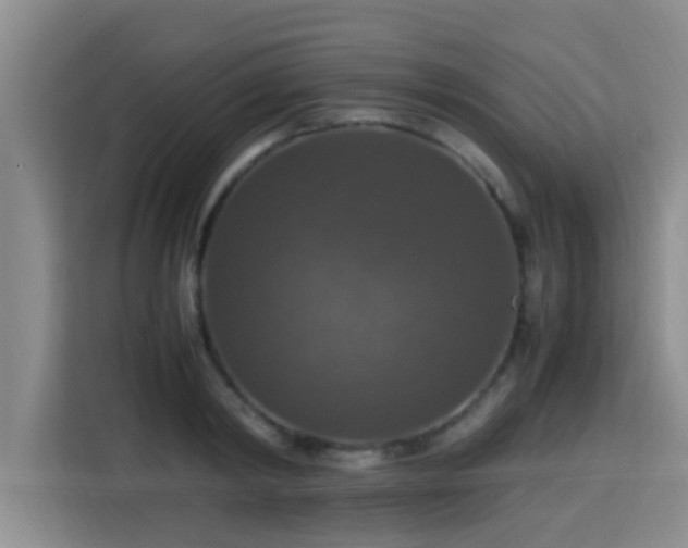X0000115390798200911101451