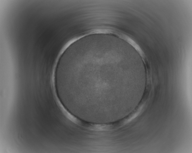 X0000115390803200911101451