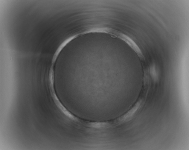 X0000115390804200911101451