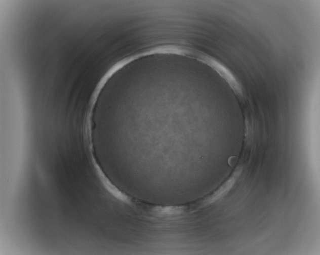 X0000115390808200911101451