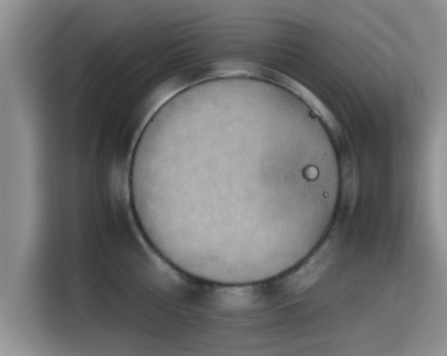 X0000115390810200911101451