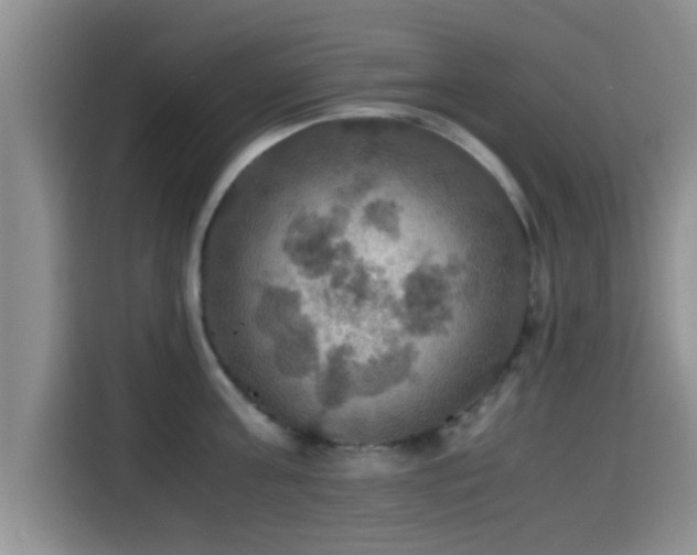 X0000115390811200911101451