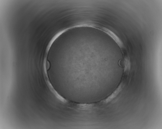X0000115390812200911101451