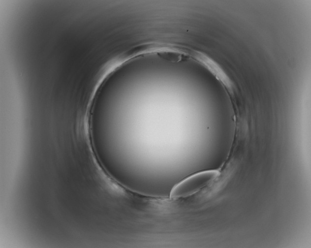 X0000115390813200911101451