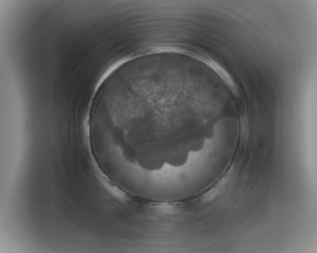 X0000115390814200911101451
