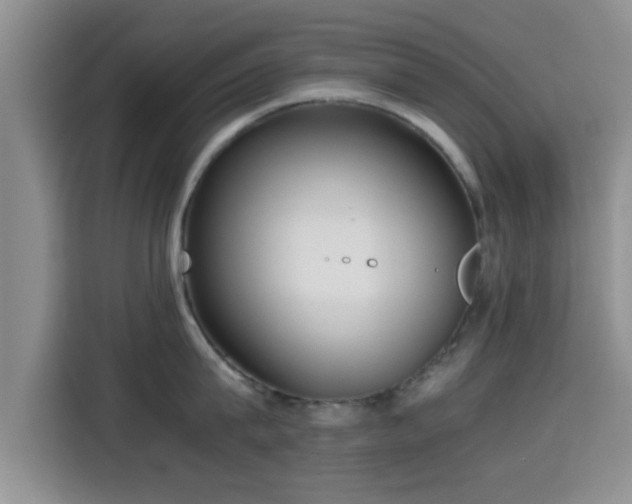 X0000115390815200911101451