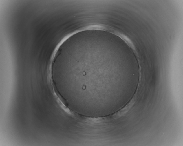 X0000115390816200911101451