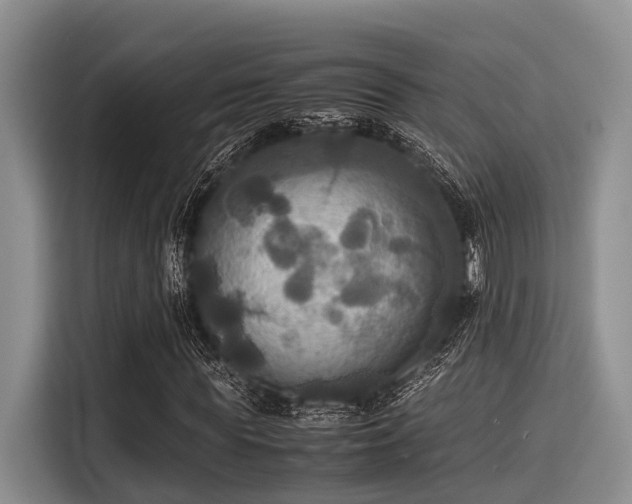 X0000115390819200911101450