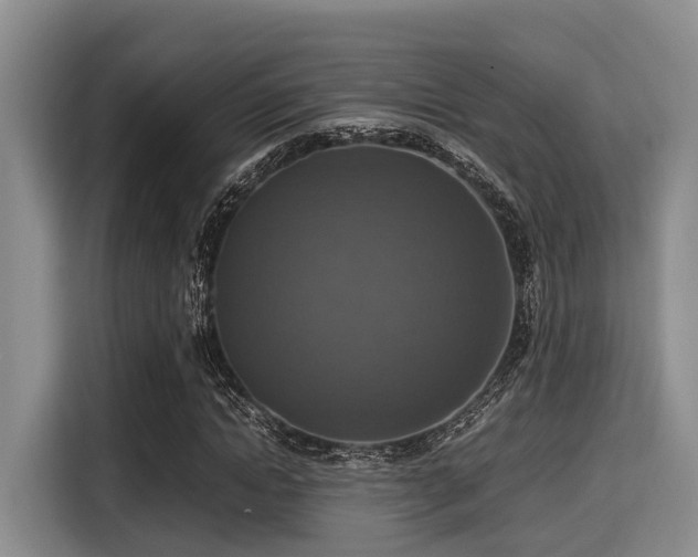 X0000115390822200911101450