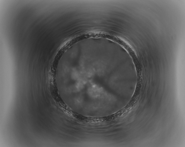 X0000115390823200911101450