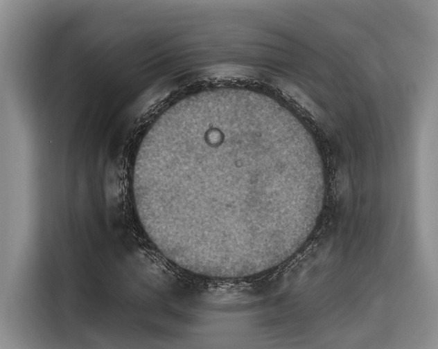 X0000115390824200911101450