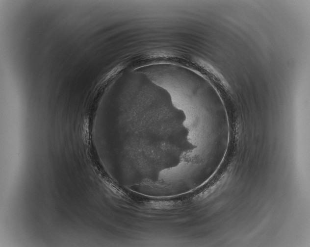 X0000115390825200911101450