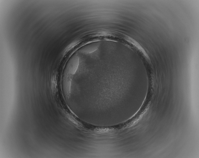 X0000115390826200911101450